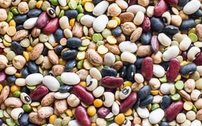 Beans! Beans! Good For The Heart. The More You Eat, The More You….
