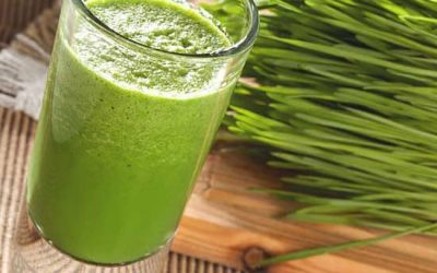 Wheatgrass: Where to get it, how to take it and it’s many Health Benefits