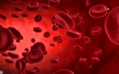 The Blood Type Diet