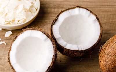 Coconut Craze