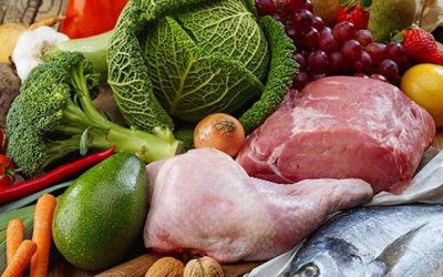 Palio Diet