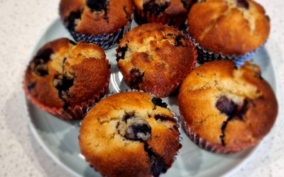 Delicious Blueberry Muffins