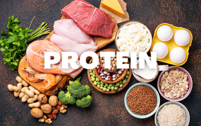 Protein – Why We Need It, And How Much We Need.