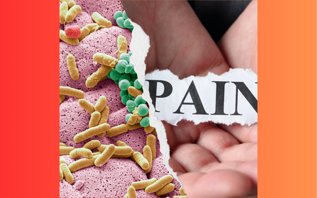 Gut Feelings: How Your Gut Microbiome Plays A Role In Chronic Pain