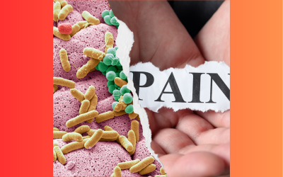 Gut Feelings: How Your Gut Microbiome Plays A Role In Chronic Pain