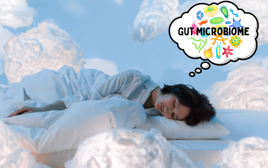 Gut To Sleep: The Microbiome -Sleep link